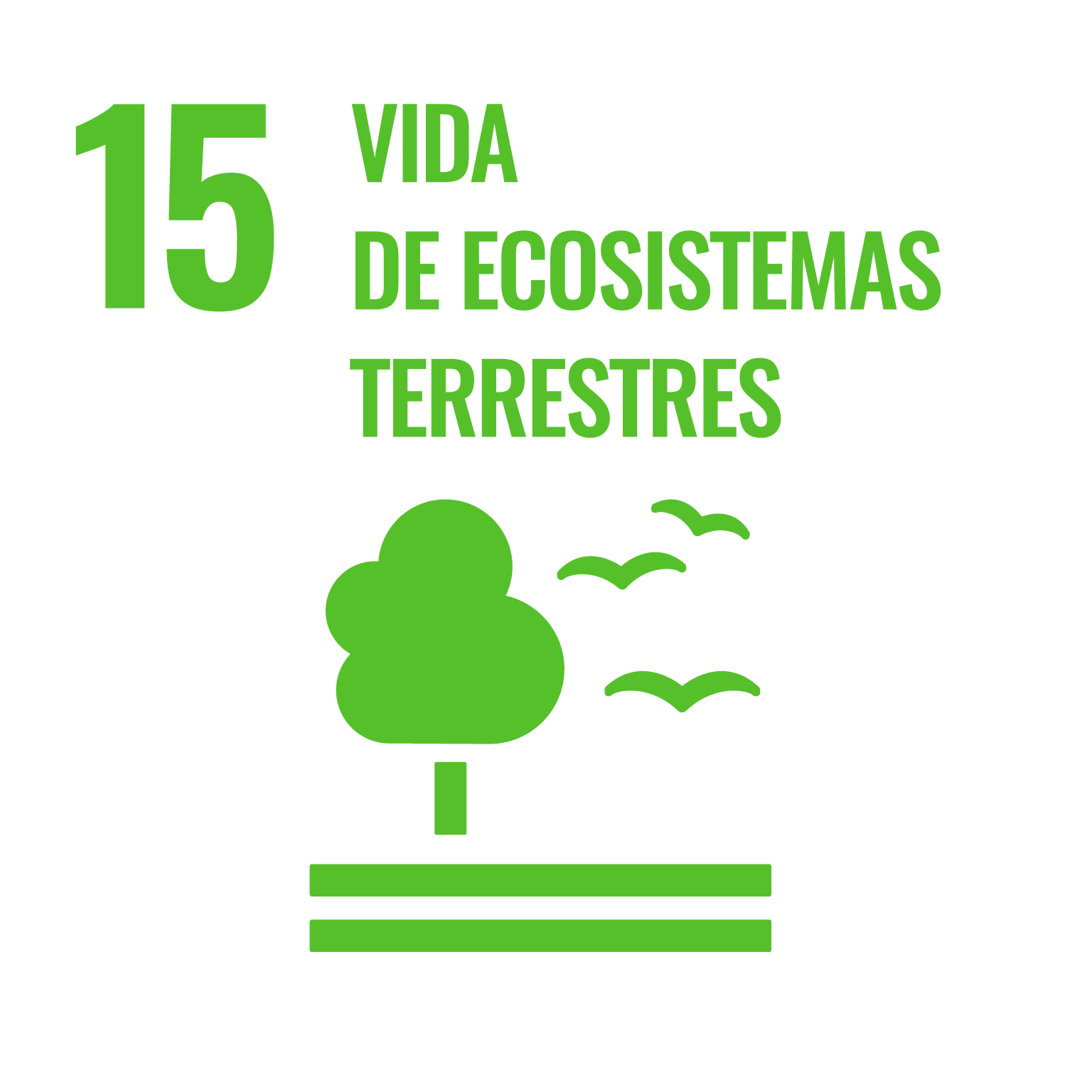 Bosques, desertificación y diversidad biológica